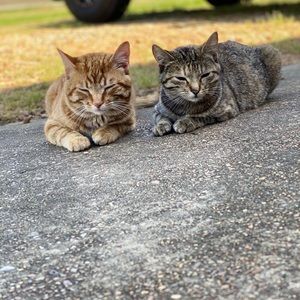 Meet your Posher, Natasha